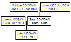 Mini tree diagram