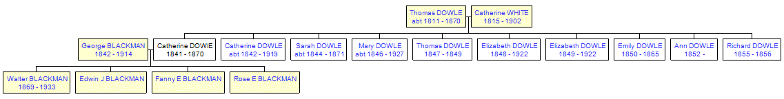 Mini tree diagram