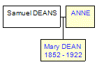 Mini tree diagram