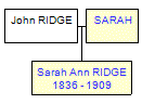 Mini tree diagram