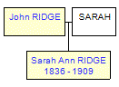 Mini tree diagram