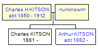 Mini tree diagram