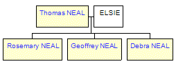 Mini tree diagram