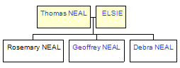 Mini tree diagram