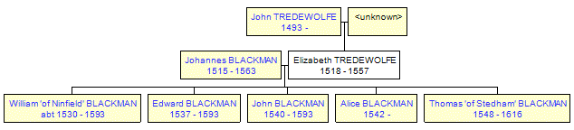 Mini tree diagram