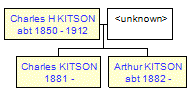 Mini tree diagram