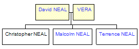 Mini tree diagram