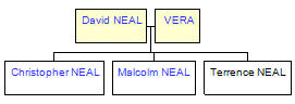 Mini tree diagram